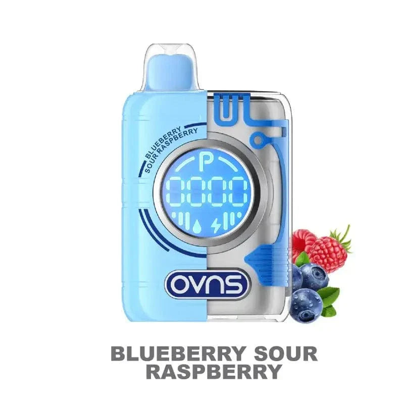 OVNS Disposable Vape Blueberry Sour Raspberry OVNS Puff Geek Truth Puff Disposable Vape Kit (5%, 18.5ml)